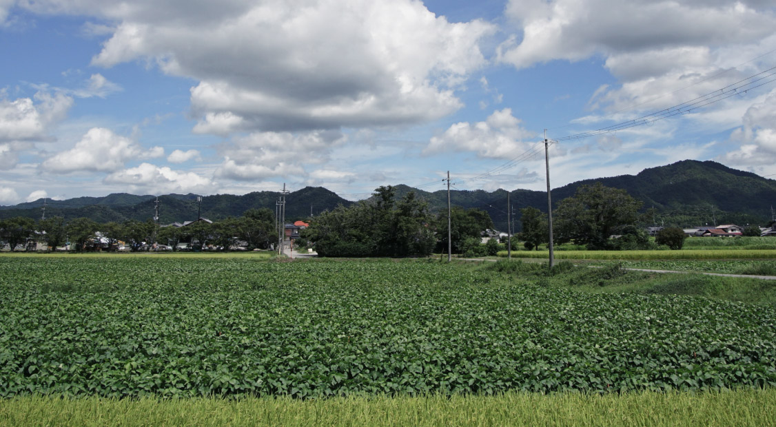 長楽堂 | 頑張った自分と大切なあの人へ。大福、おはぎを中心にした優しいお菓子作りをしています